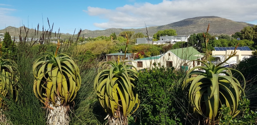 5 Bedroom Property for Sale in Crofters Valley Western Cape